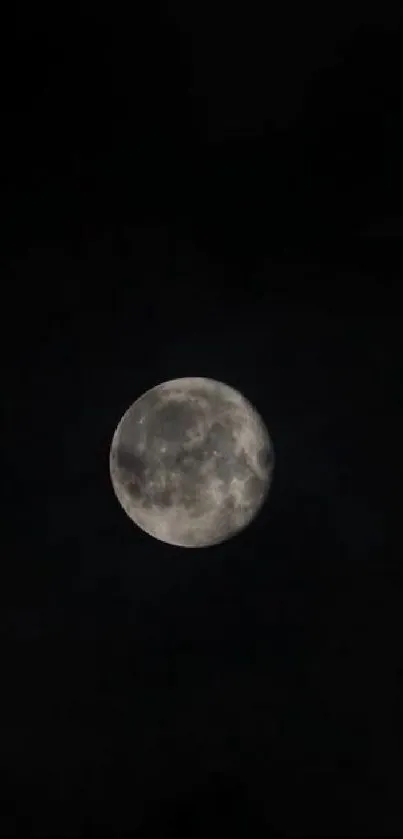 Full moon shines brightly against a dark night sky.