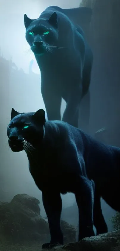 Two black panthers with glowing eyes in a mystical jungle setting.