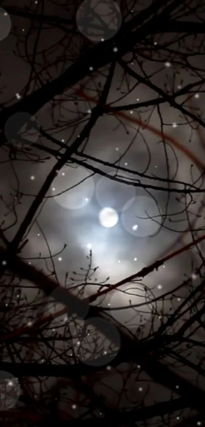 Mysterious moonlit scene through branches, creating an enchanting mobile wallpaper.