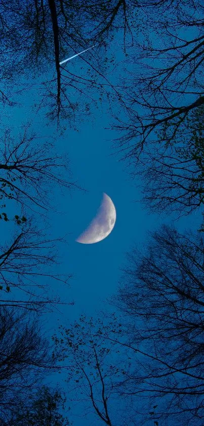 Crescent moon framed by trees under a dark blue night sky.