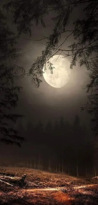 Moonlit forest with a mystical path.