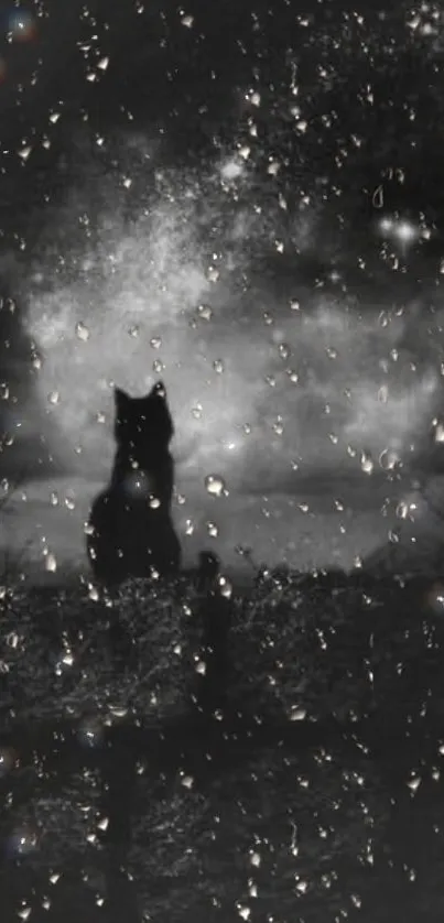 A cat silhouette under a starry, rainy night sky on a mobile wallpaper.