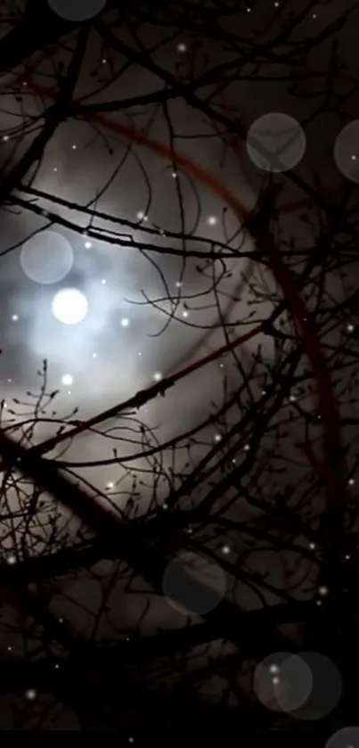 Mysterious moon behind tree branches at night.