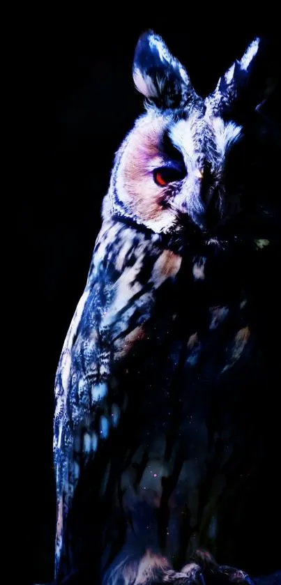 Detailed night owl on dark blue background.