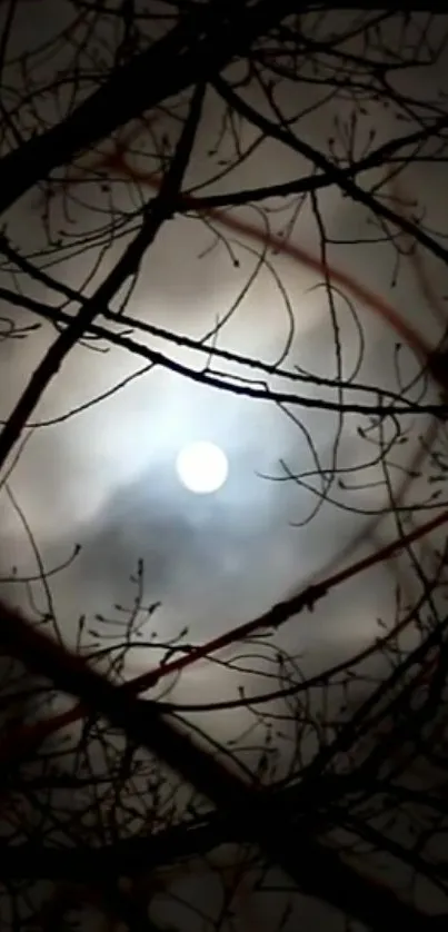 A mysterious night sky with silhouetted branches and a glowing moon.