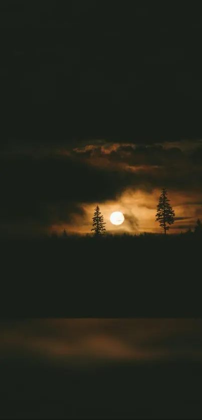 Dark night sky with full moon and tree silhouettes.