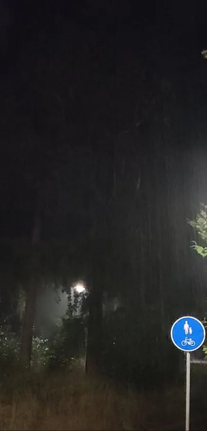 Nighttime rain scene with a lit path and greenery.