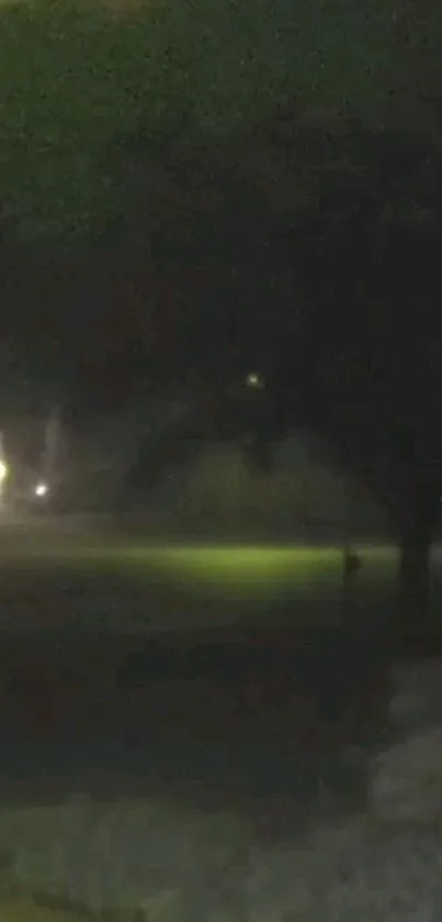 Mysterious nighttime silhouette with dark shadows under a faintly lit tree.