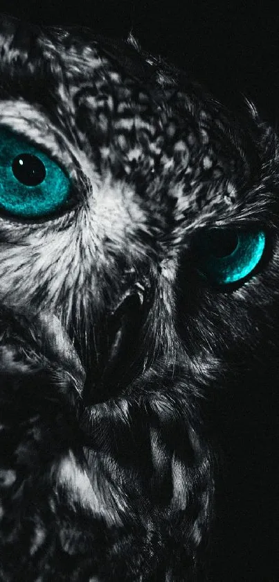 Close-up of owl with striking blue eyes in a dark setting.