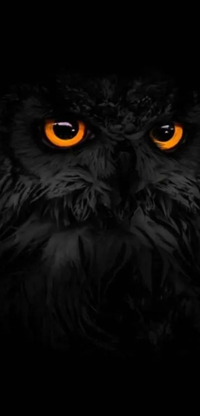 Mysterious owl eyes glow against a dark background.