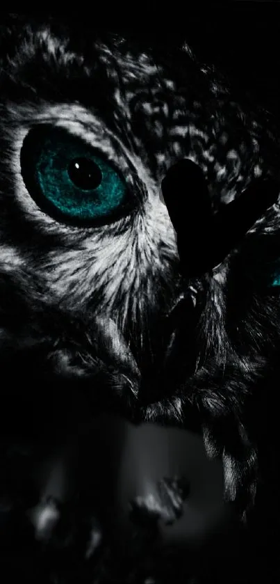 Captivating owl with turquoise eyes in dark-themed mobile wallpaper.