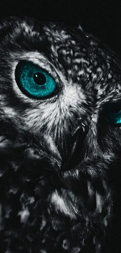 Mysterious owl with teal eyes on a dark background, perfect for a mobile wallpaper.