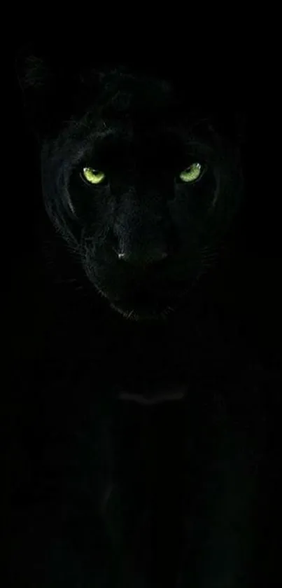 A dark wallpaper featuring a panther with piercing eyes.