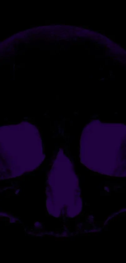 Dark purple skull art wallpaper for mobile background.