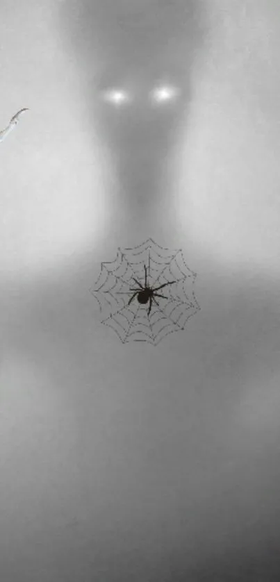 Shadowy figure with spider web design on a gray wallpaper.