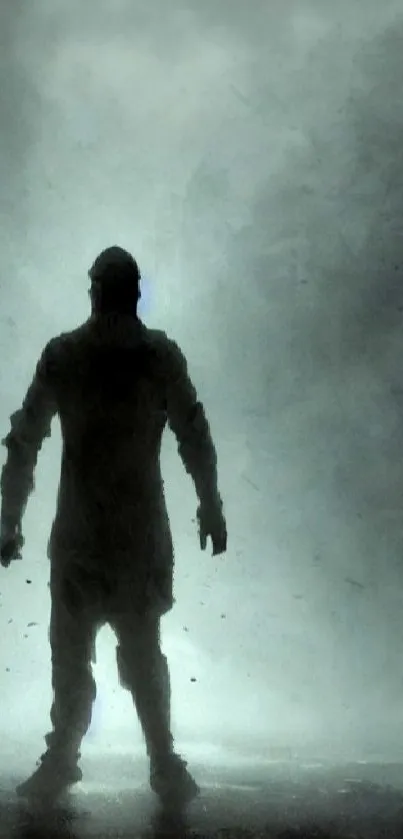 Silhouette of a person in fog creating a mysterious atmosphere.