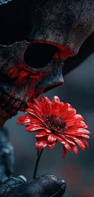 Skull holding a red flower against a dark background.