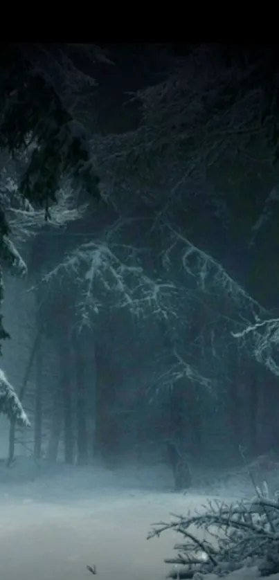 A mystical snowy forest with dark trees and a serene winter atmosphere.