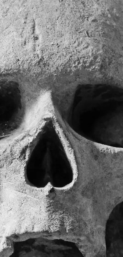 Close-up of a mysterious stone skull with intricate texture.