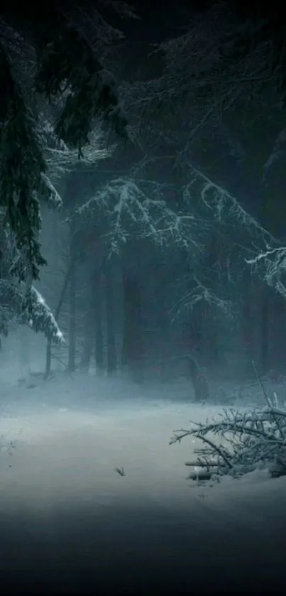 A dark, snowy forest path in winter ambiance.