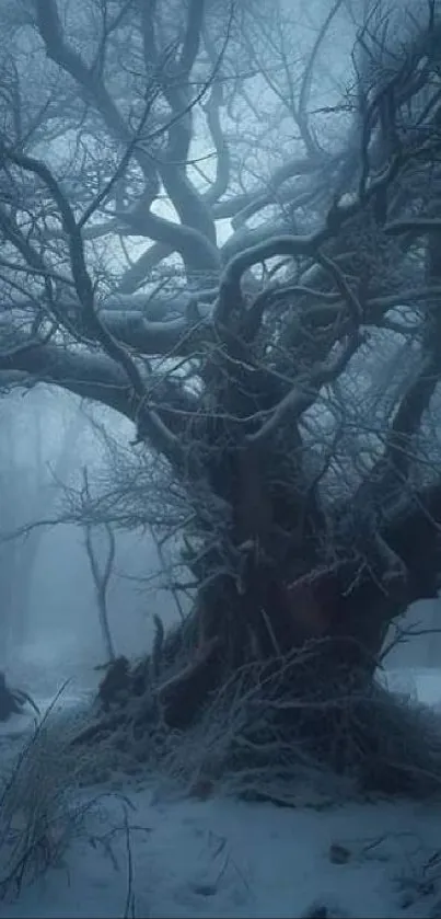 Mysterious leafless tree in foggy winter landscape.