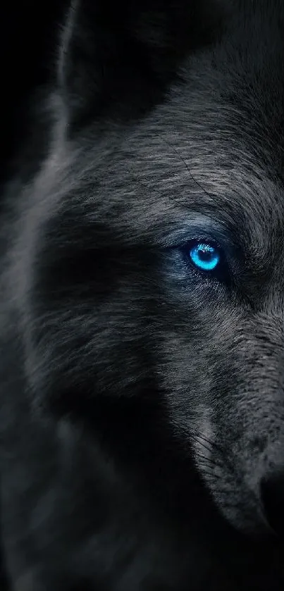 Mysterious dark image of a wolf with glowing blue eyes.