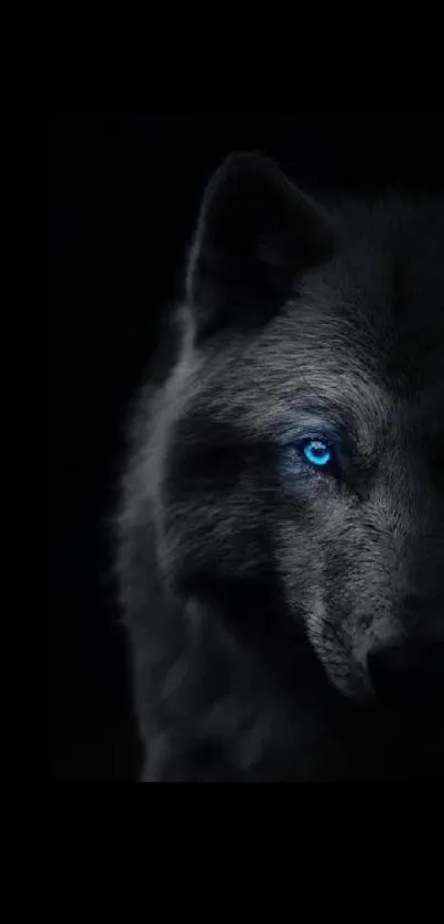 Mysterious wolf with a bright blue eye on a dark background wallpaper.