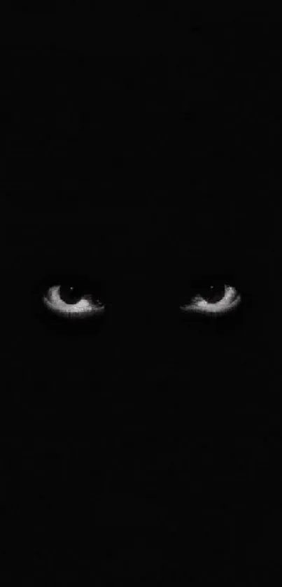 Mysterious eyes peering from dark background wallpaper.