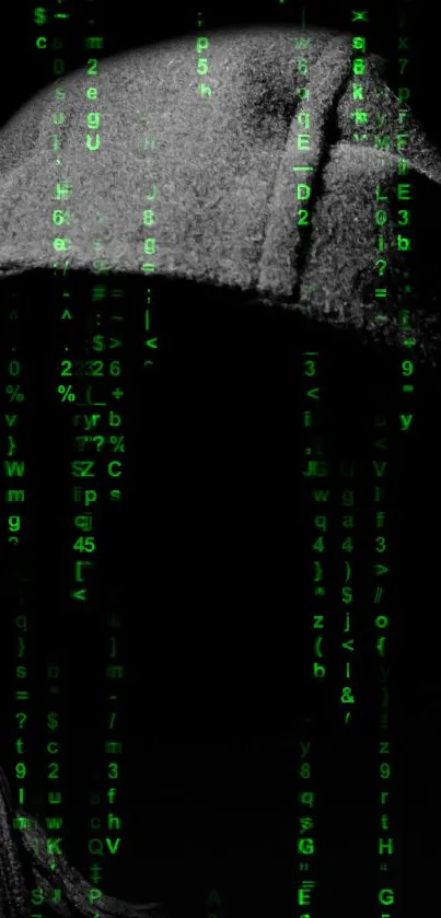 Mysterious hooded figure with green matrix code in a dark, digital art style.