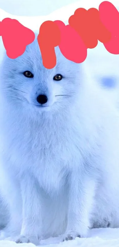 A serene Arctic fox in a snowy landscape with a playful red accent.