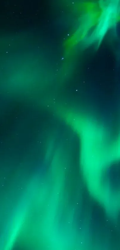 Green aurora borealis lights in a dark night sky mobile wallpaper.