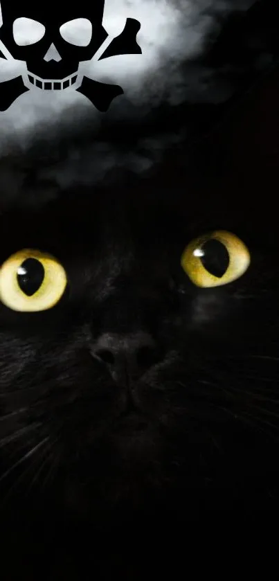 Black cat with yellow eyes under a cloudy sky and skull.