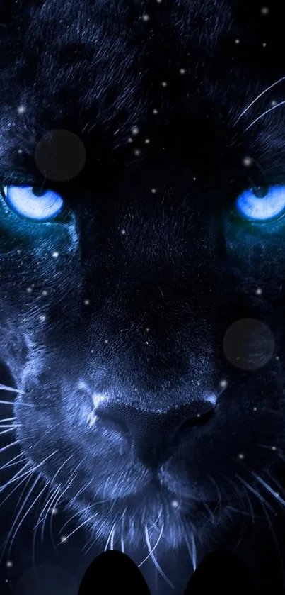 Close-up of a black panther with blue eyes and a starry night background.