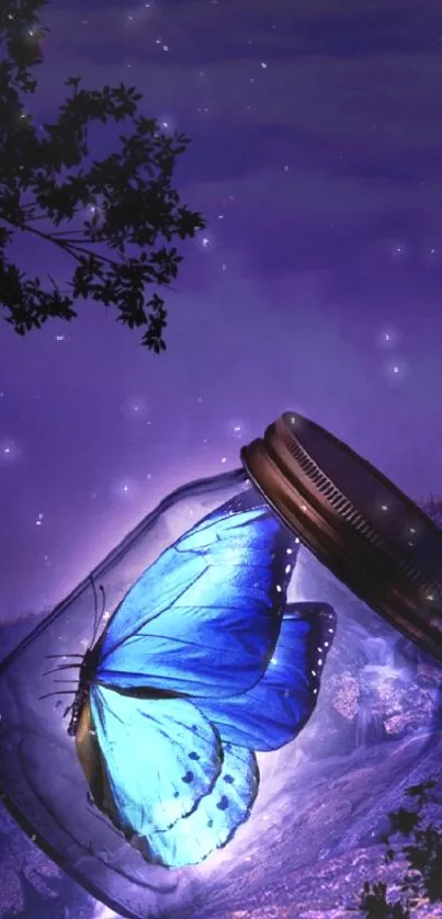 Blue butterfly in a jar with twilight background.