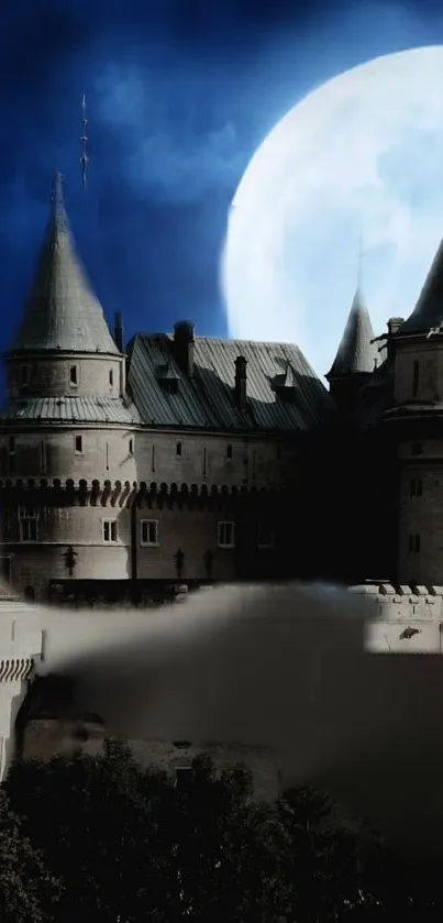 Mystic castle under full moon with dark blue night sky.