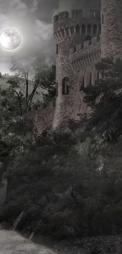 Gothic castle under a full moon in a mystical landscape.