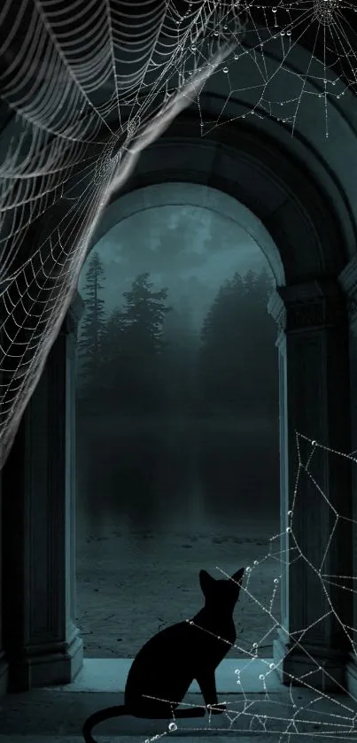 Silhouette of a cat in a dark archway with spider webs, under moonlight.