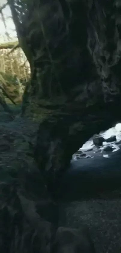 Mystical dark cave with forest path.