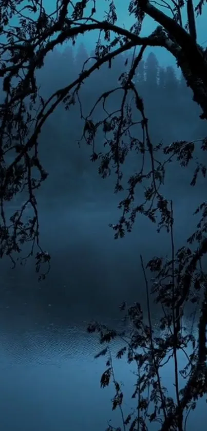 Silhouetted trees in a misty forest by a lake wallpaper.