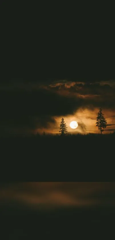 Mystic forest nightscape with full moon.