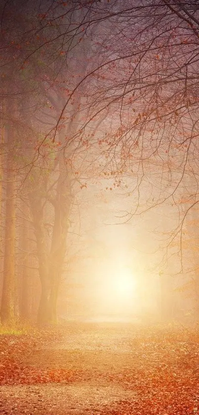 Misty forest path with autumn leaves and warm sunlight.