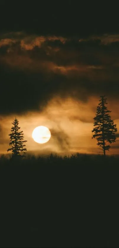 Serene moonlit forest with silhouetted trees and dark sky.