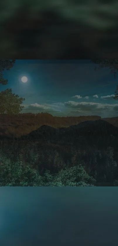 A serene wallpaper of a moonlit forest night.