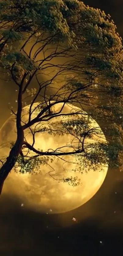 A tree silhouetted against a glowing full moon and starry sky.