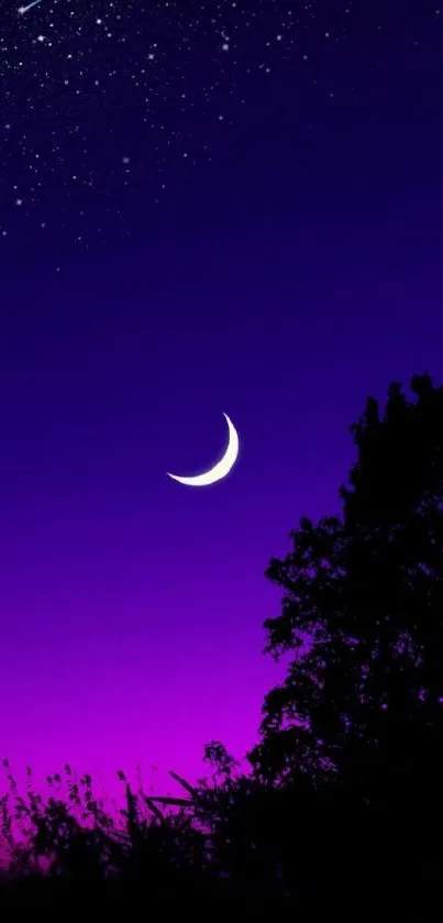 Purple sky with crescent moon and stars.