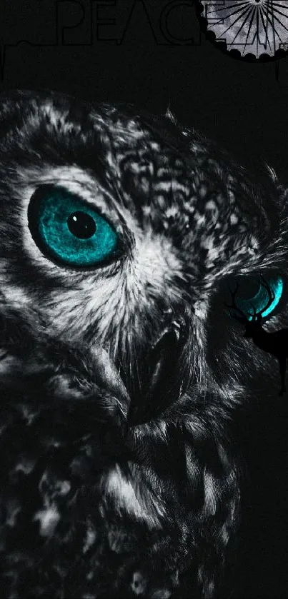 Mystic owl with bright eyes on a black background mobile wallpaper.