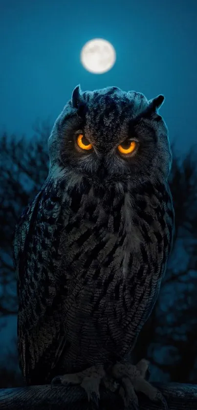 Owl standing under a glowing full moon in dark night landscape.