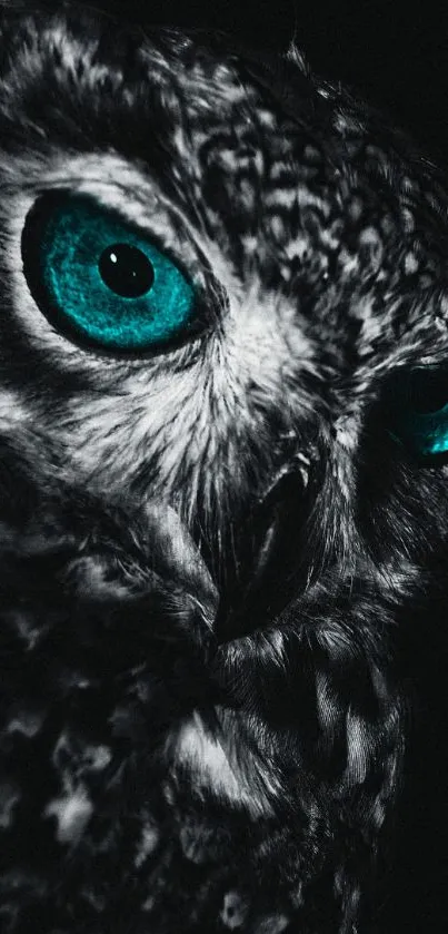 Mystic owl with teal eyes on a dark background, striking wildlife wallpaper.