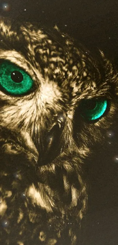 Owl with striking teal eyes on a dark background, creating a mystical aura.