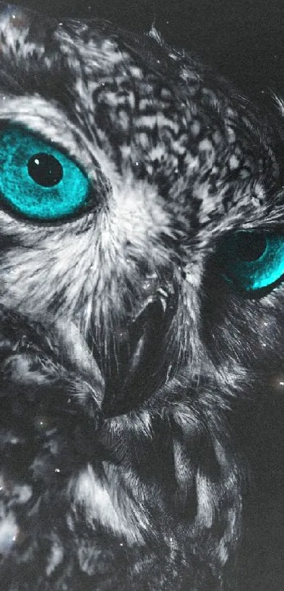 Black and white owl with cyan eyes in the dark, offering a mystical vibe.